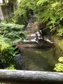 五台橋の写真_621928