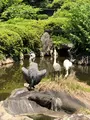 高島城の写真_621964
