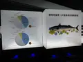大鯖魚夢工廠の写真_623500