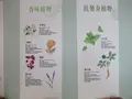 Healtdeva 赫蒂法荘園の写真_623515