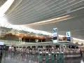 羽田空港国際ターミル 展望デッキの写真_623602