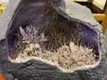 綺麗珊瑚博物館の写真_623637