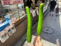とびっちょ 江の島弁財天仲見世通り店の写真_625004