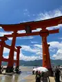 厳島神社の写真_626048