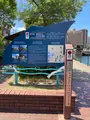 アレイからすこじま公園の写真_626173