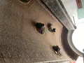 奈義町現代美術館の写真_627487