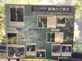 雨滝の写真_627742