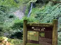 雨滝の写真_627744