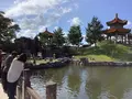 中国庭園 燕趙園の写真_627818