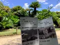 岡山後楽園の写真_628896