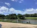 岡山後楽園の写真_628897