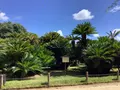 岡山後楽園の写真_628898