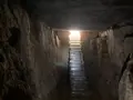 家プロジェクト「護王神社」の写真_630115