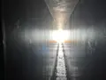 家プロジェクト「護王神社」の写真_630116