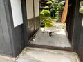 家プロジェクト 石橋 Ishibashiの写真_630123