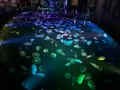 すみだ水族館の写真_630823