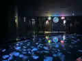 すみだ水族館の写真_630831