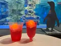 すみだ水族館の写真_630833