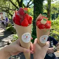 いちごプラザの写真_630959