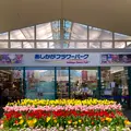 あしかがフラワーパークの写真_631100