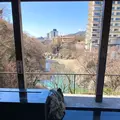 鬼怒子の湯の写真_631119