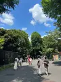上野動物園の写真_631200
