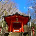 九頭龍神社（本宮）の写真_631678
