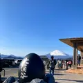 大涌谷の写真_631691