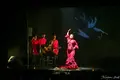 𝗧𝗲𝗮𝘁𝗿𝗼 𝗙𝗹𝗮𝗺𝗲𝗻𝗰𝗼 𝗠𝗮𝗱𝗿𝗶𝗱 | Espectáculo Flamenco | Espectáculos en Madridの写真_632259