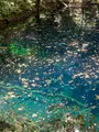 十二湖の写真_632809
