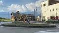 勝山駅の写真_633813