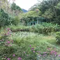 箱根ラリック美術館の写真_633830
