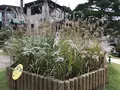 箱根ガラスの森美術館の写真_633833