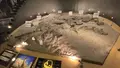 福井県立恐竜博物館の写真_634169