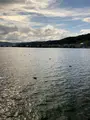 天橋立観光船の写真_634548