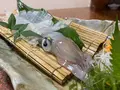 かもめ亭の写真_636205
