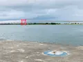 弁天島海浜公園の写真_636886