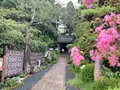 龍潭寺の写真_636948