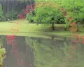 金津創作の森の写真_637440