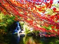 古峯神社の写真_637925