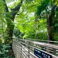 來宮神社の写真_638735