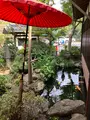 多聞の写真_638980