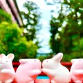 岡崎神社の写真_639473