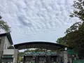 上野動物園の写真_642773