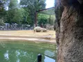 上野動物園の写真_642775