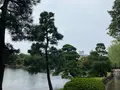 徳川園の写真_643030
