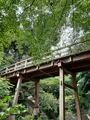 徳川園の写真_643032