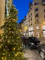 Rue du Faubourg Saint-Honoréの写真_644627