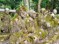 赤山禅院の写真_645697