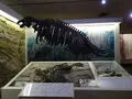 山形県立博物館の写真_646792